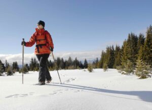 Read more about the article Insulating Your Retirement Portfolio